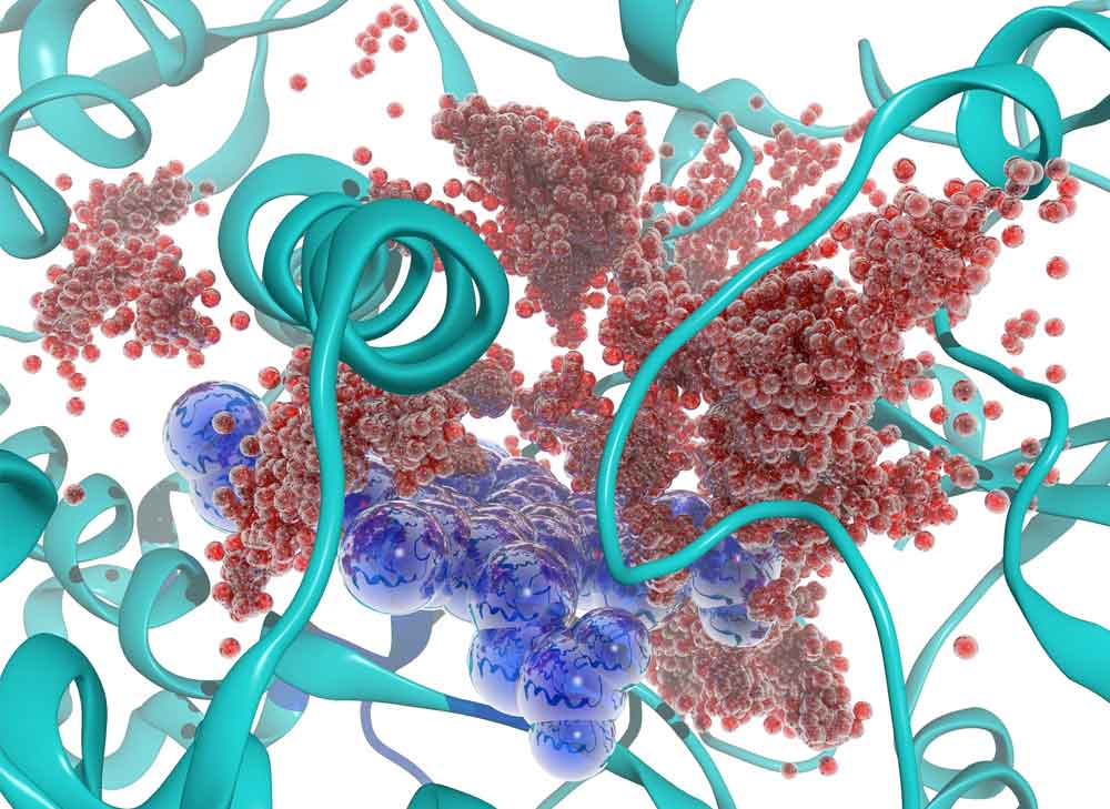 enzimlerin-protein-emilimindeki-onemi