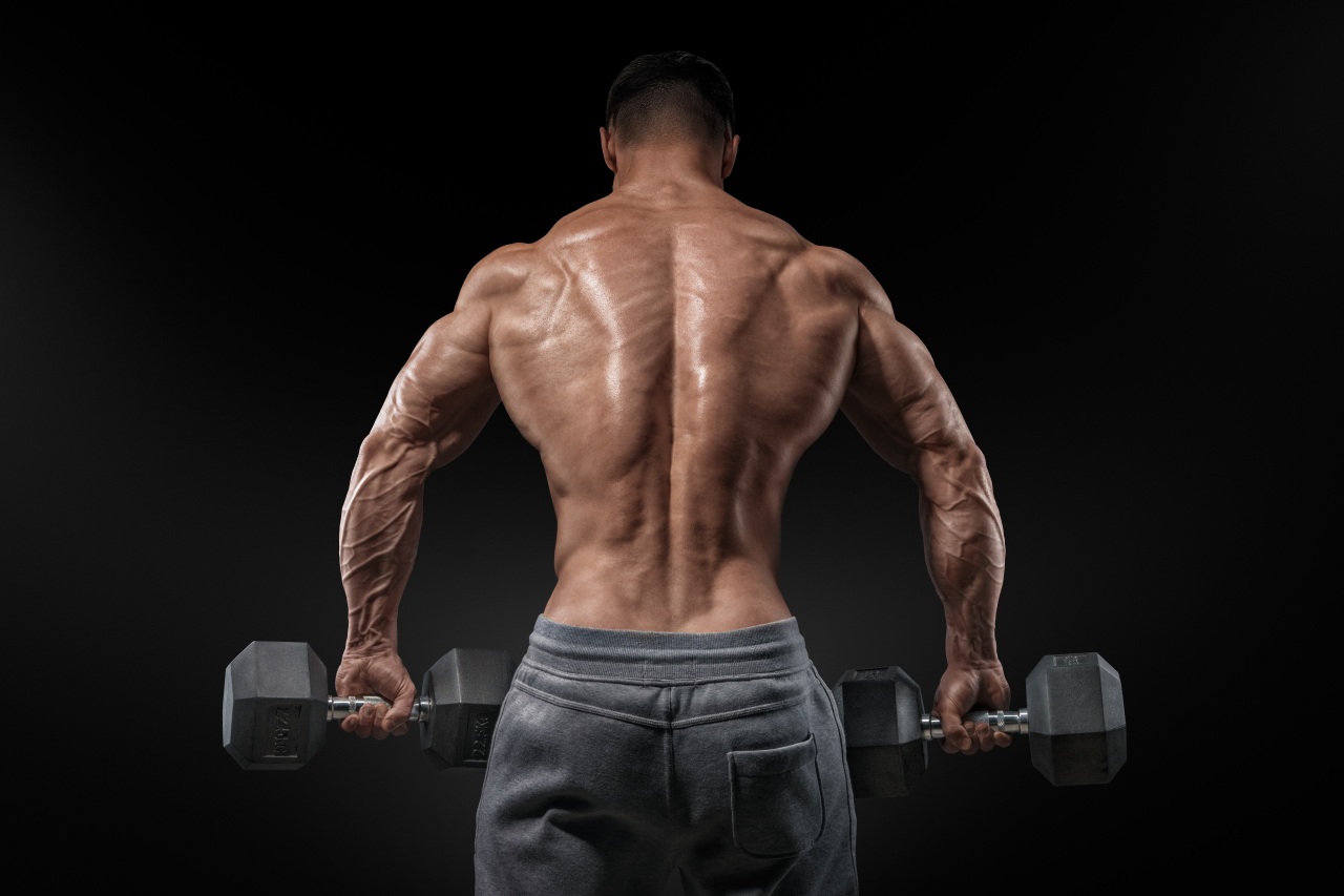 bodybuilding_men_human_487388