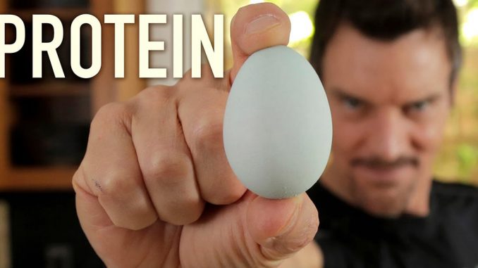 yuksek-proteinli-besinler