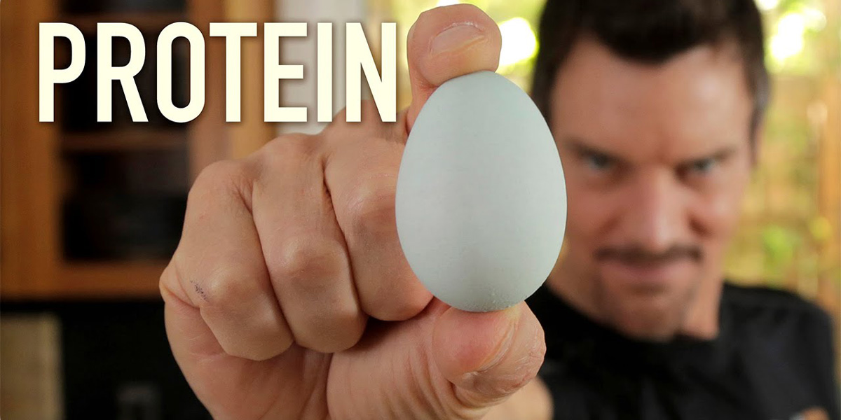 yuksek-proteinli-besinler