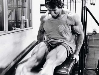 arnold-schwarzenegger-baldir-antrenmani