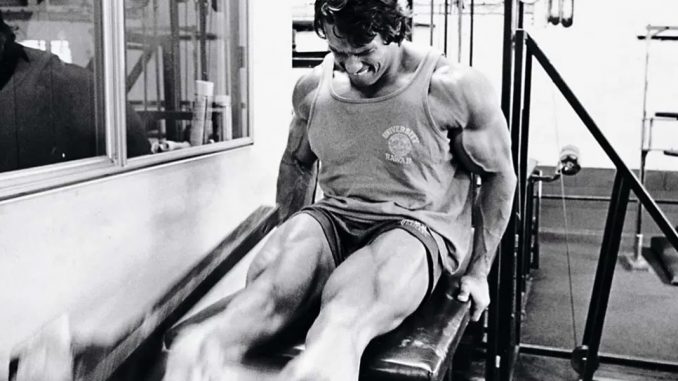 arnold-schwarzenegger-baldir-antrenmani arnold-schwarzenegger-baldir-antrenmani