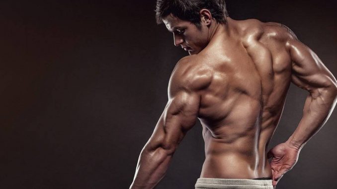 tricepsin-uzun-basi-icin-kisa-bir-antrenman tricepsin-uzun-basi-icin-kisa-bir-antrenman