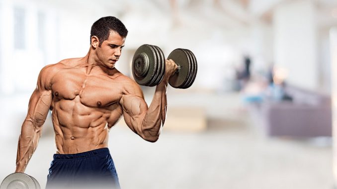 evde-full-body-programi evde-full-body-programi