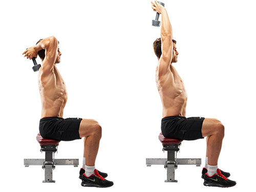 Seated-Dumbell-Triceps-Extension.jpg
