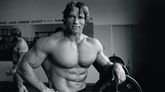 arnold arnold